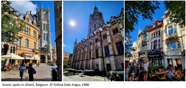 belgique11-1782196108203.webp